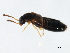 ( - 10PCCOL-0052)  @12 [ ] CreativeCommons - Attribution (2010) CBG Photography Group Centre for Biodiversity Genomics
