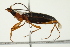 ( - PCPP10-0026)  @12 [ ] CreativeCommons - Attribution (2010) CBG Photography Group Centre for Biodiversity Genomics