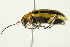  ( - PCPP10-0040)  @12 [ ] CreativeCommons - Attribution (2010) CBG Photography Group Centre for Biodiversity Genomics
