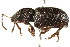  ( - PCPP10-0048)  @14 [ ] CreativeCommons - Attribution (2010) CBG Photography Group Centre for Biodiversity Genomics