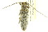  ( - 10PCCOL-0865)  @14 [ ] CreativeCommons - Attribution (2010) CBG Photography Group Centre for Biodiversity Genomics