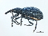  ( - 09BBECO-0402)  @14 [ ] CreativeCommons - Attribution (2010) Unspecified Centre for Biodiversity Genomics