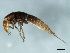  ( - 09BBECO-0304)  @13 [ ] CreativeCommons - Attribution (2010) Unspecified Centre for Biodiversity Genomics