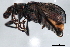  ( - 09BBECO-0314)  @12 [ ] CreativeCommons - Attribution (2010) Unspecified Centre for Biodiversity Genomics