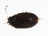  ( - 09BBECO-0335)  @13 [ ] CreativeCommons - Attribution (2010) Unspecified Centre for Biodiversity Genomics