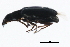  ( - 09BBECO-0375)  @12 [ ] CreativeCommons - Attribution (2010) Unspecified Centre for Biodiversity Genomics