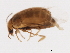 ( - 09BBECO-0386)  @12 [ ] CreativeCommons - Attribution (2010) Unspecified Centre for Biodiversity Genomics