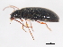  ( - 09BBECO-0389)  @13 [ ] CreativeCommons - Attribution (2010) Unspecified Centre for Biodiversity Genomics