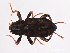  ( - 09BBECO-0512)  @14 [ ] CreativeCommons - Attribution (2010) Unspecified Centre for Biodiversity Genomics