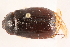  ( - 09BBECO-0061)  @13 [ ] CreativeCommons - Attribution (2010) Unspecified Centre for Biodiversity Genomics