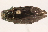  ( - 09BBECO-0066)  @13 [ ] CreativeCommons - Attribution (2010) Unspecified Centre for Biodiversity Genomics
