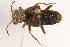  ( - 09BBECO-0074)  @13 [ ] CreativeCommons - Attribution (2010) Unspecified Centre for Biodiversity Genomics