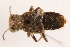  ( - 09BBECO-0076)  @13 [ ] CreativeCommons - Attribution (2010) Unspecified Centre for Biodiversity Genomics