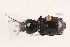  ( - 09BBECO-0079)  @13 [ ] CreativeCommons - Attribution (2010) Unspecified Centre for Biodiversity Genomics