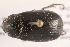  ( - 09BBECO-0090)  @14 [ ] CreativeCommons - Attribution (2010) Unspecified Centre for Biodiversity Genomics