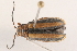  ( - 09BBECO-0123)  @12 [ ] CreativeCommons - Attribution (2010) Unspecified Centre for Biodiversity Genomics