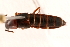  ( - 09BBECO-0182)  @13 [ ] CreativeCommons - Attribution (2010) Unspecified Centre for Biodiversity Genomics