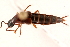  ( - 09BBECO-0183)  @13 [ ] CreativeCommons - Attribution (2010) Unspecified Centre for Biodiversity Genomics