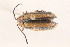  ( - 09BBECO-0275)  @13 [ ] CreativeCommons - Attribution (2010) Unspecified Centre for Biodiversity Genomics