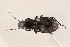  ( - 09BBECO-0280)  @13 [ ] CreativeCommons - Attribution (2010) Unspecified Centre for Biodiversity Genomics