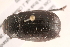  ( - 09BBECO-0283)  @14 [ ] CreativeCommons - Attribution (2010) Unspecified Centre for Biodiversity Genomics