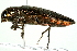  ( - 09BBECO-0065)  @13 [ ] CreativeCommons - Attribution (2010) Unspecified Centre for Biodiversity Genomics