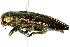  ( - 09BBECO-0066)  @13 [ ] CreativeCommons - Attribution (2010) Unspecified Centre for Biodiversity Genomics