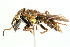  ( - 09BBECO-0073)  @13 [ ] CreativeCommons - Attribution (2010) Unspecified Centre for Biodiversity Genomics