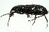  ( - 09BBECO-0079)  @13 [ ] CreativeCommons - Attribution (2010) Unspecified Centre for Biodiversity Genomics