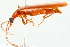  ( - 09BBECO-0102)  @14 [ ] CreativeCommons - Attribution (2010) Unspecified Centre for Biodiversity Genomics