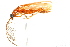  ( - 09BBECO-0105)  @14 [ ] CreativeCommons - Attribution (2010) Unspecified Centre for Biodiversity Genomics