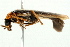  ( - 09BBECO-0109)  @14 [ ] CreativeCommons - Attribution (2010) Unspecified Centre for Biodiversity Genomics