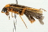  ( - 09BBECO-0110)  @13 [ ] CreativeCommons - Attribution (2010) Unspecified Centre for Biodiversity Genomics