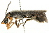  ( - 09BBECO-0111)  @13 [ ] CreativeCommons - Attribution (2010) Unspecified Centre for Biodiversity Genomics