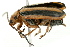  ( - 09BBECO-0121)  @14 [ ] CreativeCommons - Attribution (2010) Unspecified Centre for Biodiversity Genomics