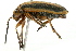  ( - 09BBECO-0122)  @14 [ ] CreativeCommons - Attribution (2010) Unspecified Centre for Biodiversity Genomics