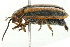 ( - 09BBECO-0123)  @13 [ ] CreativeCommons - Attribution (2010) Unspecified Centre for Biodiversity Genomics