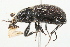  ( - 09BBECO-0128)  @13 [ ] CreativeCommons - Attribution (2010) Unspecified Centre for Biodiversity Genomics