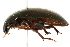  ( - 09BBECO-0133)  @12 [ ] CreativeCommons - Attribution (2010) Unspecified Centre for Biodiversity Genomics