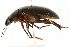  ( - 09BBECO-0134)  @12 [ ] CreativeCommons - Attribution (2010) Unspecified Centre for Biodiversity Genomics