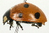  ( - 09BBECO-0148)  @13 [ ] CreativeCommons - Attribution (2010) Unspecified Centre for Biodiversity Genomics
