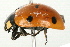  ( - 09BBECO-0149)  @13 [ ] CreativeCommons - Attribution (2010) Unspecified Centre for Biodiversity Genomics
