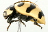  ( - 09BBECO-0178)  @12 [ ] CreativeCommons - Attribution (2010) Unspecified Centre for Biodiversity Genomics