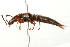 ( - 09BBECO-0183)  @13 [ ] CreativeCommons - Attribution (2010) Unspecified Centre for Biodiversity Genomics