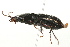  ( - 09BBECO-0190)  @13 [ ] CreativeCommons - Attribution (2010) Unspecified Centre for Biodiversity Genomics