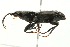  ( - 09BBECO-0281)  @13 [ ] CreativeCommons - Attribution (2010) Unspecified Centre for Biodiversity Genomics