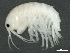  ( - CCDB-08345-D09)  @15 [ ] CreativeCommons - Attribution (2012) CBG Photography Group Centre for Biodiversity Genomics