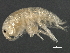  ( - CCDB-08345-E05)  @14 [ ] CreativeCommons - Attribution (2012) CBG Photography Group Centre for Biodiversity Genomics