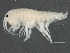  ( - CCDB-08345-E07)  @15 [ ] CreativeCommons - Attribution (2012) CBG Photography Group Centre for Biodiversity Genomics