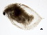  ( - 10BBCRU-0149)  @13 [ ] CreativeCommons - Attribution (2010) CBG Photography Group Centre for Biodiversity Genomics